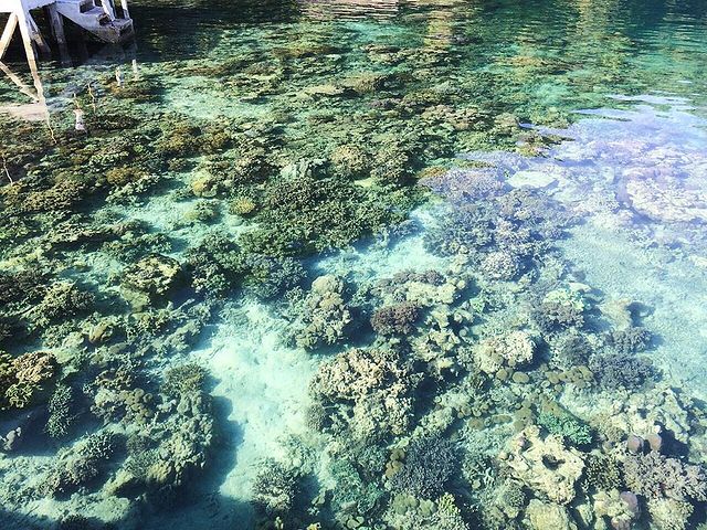 Pantai Ora - Info Tiket Masuk, Foto, Rute, Ulasan