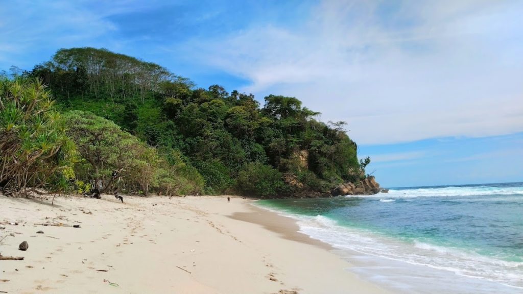 Keindahan dan Daya Tarik Utama Pantai Ngalur Keindahan dan Daya Tarik Utama Pantai Ngalur