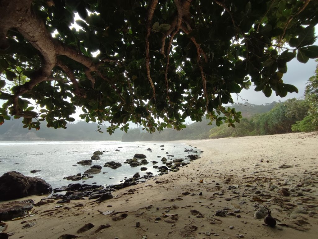 Pantai Ngalur - Info Tiket Masuk, Foto, Rute, Ulasan Pantai Ngalur - Info Tiket Masuk, Foto, Rute, Ulasan