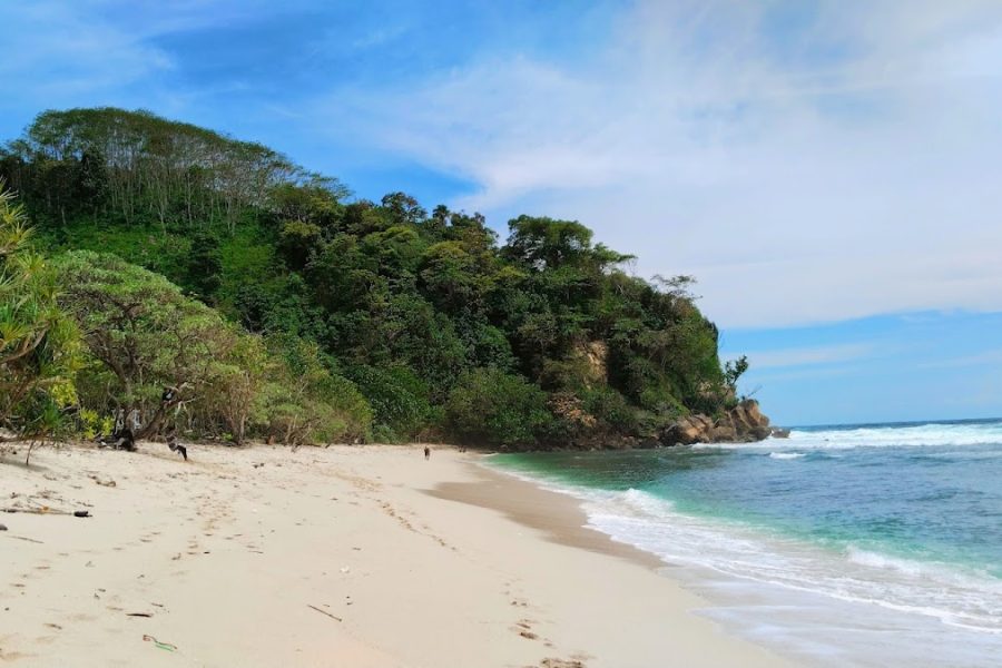 Pantai Ngalur - Info Tiket Masuk, Foto, Rute, Ulasan