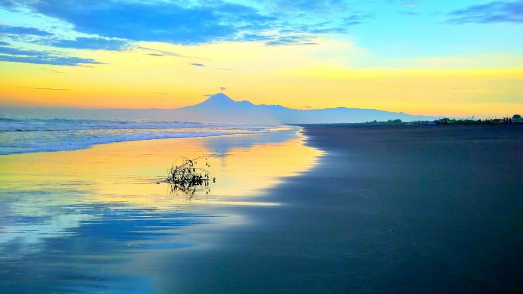 Aktivitas Wisata dan Daya Tarik Khusus Pantai Paseban Aktivitas Wisata dan Daya Tarik Khusus Pantai Paseban