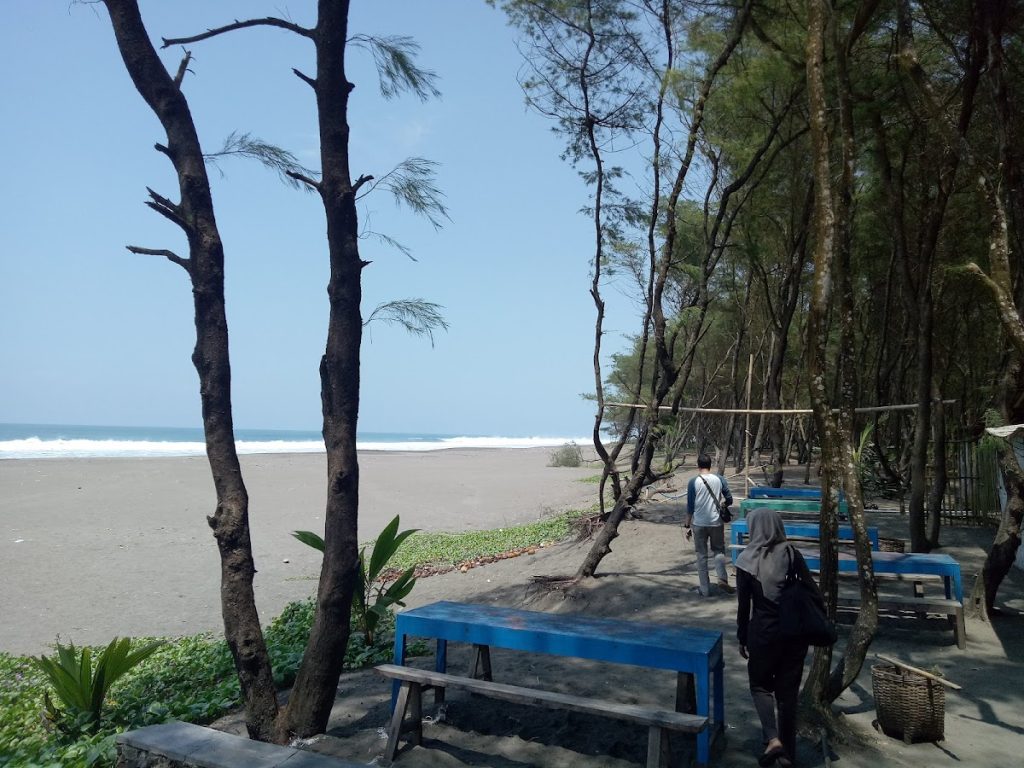 Fasilitas dan Aktivitas Wisata di Pantai Petanahan Fasilitas dan Aktivitas Wisata di Pantai Petanahan