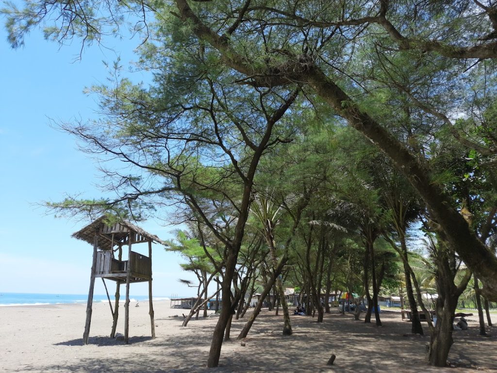 Harga Tiket dan Jam Operasional Pantai Petanahan Harga Tiket dan Jam Operasional Pantai Petanahan