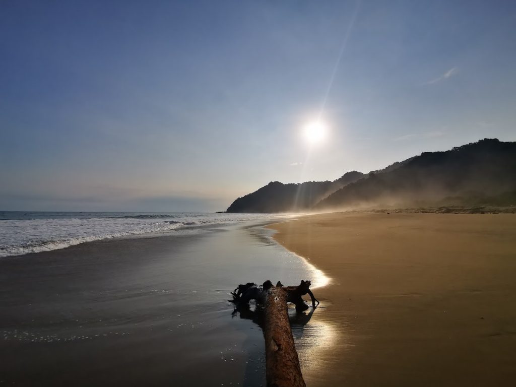 Keindahan Alam dan Ekosistem Pantai Sukamade Keindahan Alam dan Ekosistem Pantai Sukamade