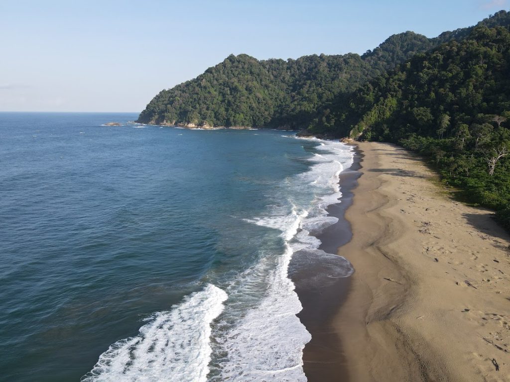 Pantai Sukamade: Surga Konservasi Penyu di Jantung Taman Nasional Meru Betiri Pantai Sukamade: Surga Konservasi Penyu di Jantung Taman Nasional Meru Betiri