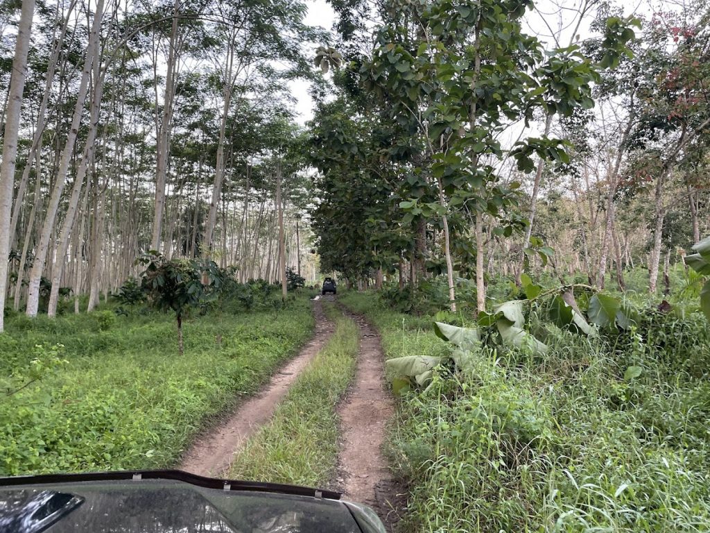 Rute Perjalanan Menuju Pantai Sukamade Rute Perjalanan Menuju Pantai Sukamade