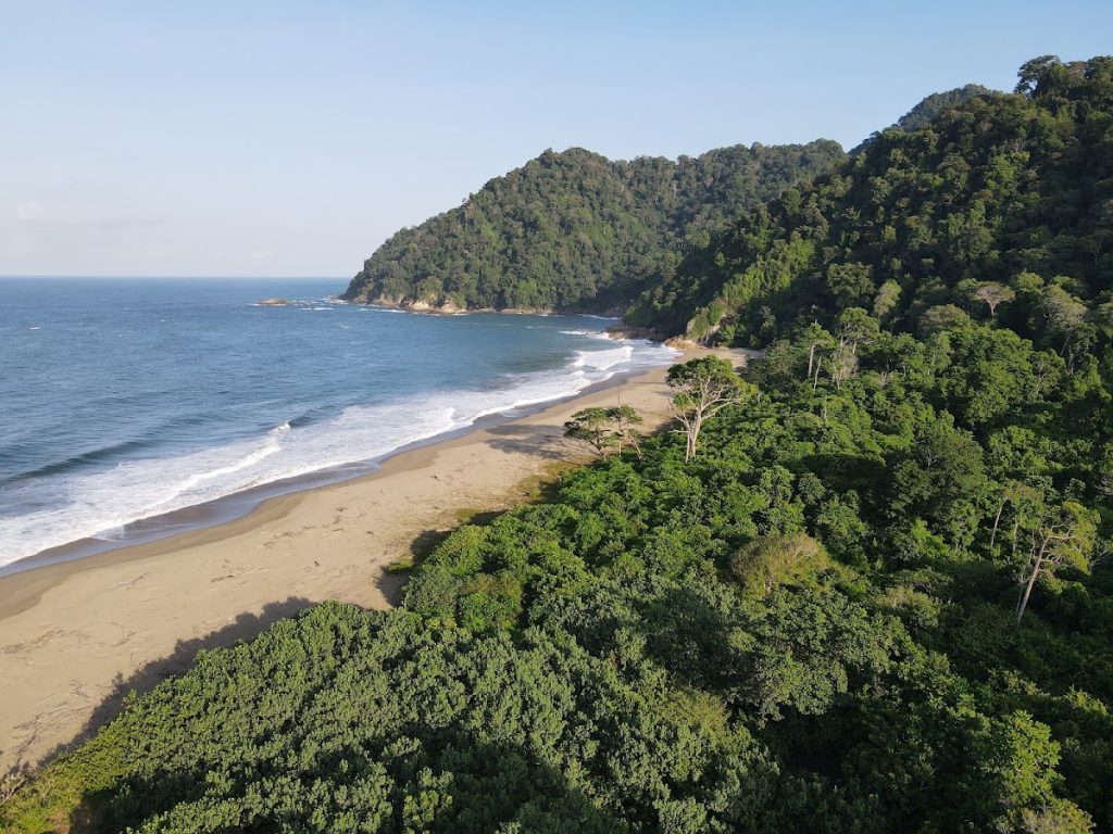 Pantai Sukamade - Info Tiket Masuk, Foto, Rute, Ulasan Pantai Sukamade - Info Tiket Masuk, Foto, Rute, Ulasan