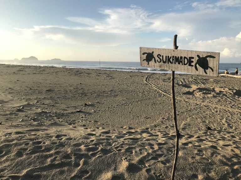 Pantai Sukamade - Info Tiket Masuk, Foto, Rute, Ulasan