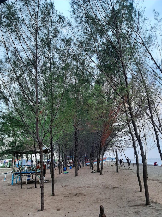 Keindahan Alam dan Aktivitas di Pantai Wonokerto Keindahan Alam dan Aktivitas di Pantai Wonokerto