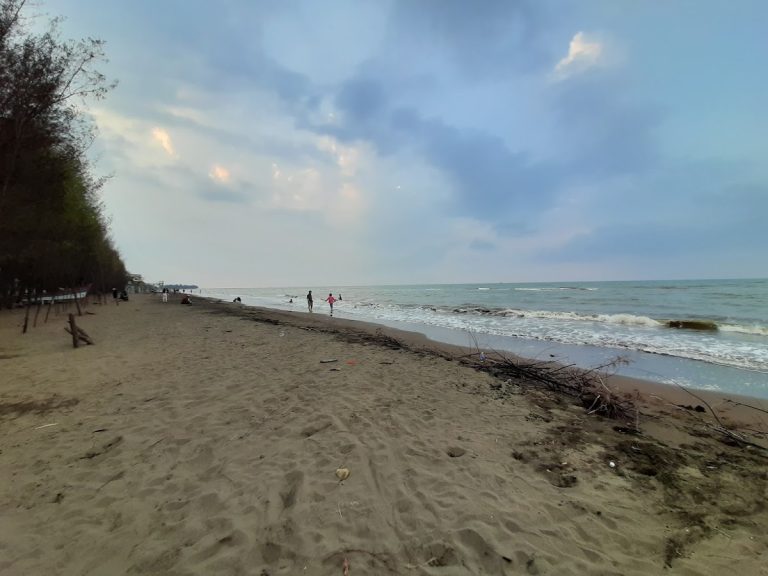 Pantai Wonokerto - Info Tiket Masuk, Foto, Rute, Ulasan